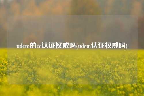 udem的ce认证权威吗(udem认证权威吗)