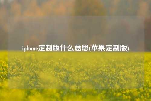 iphone定制版什么意思(苹果定制版)