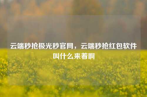 云端秒抢极光秒官网，云端秒抢红包软件叫什么来着啊