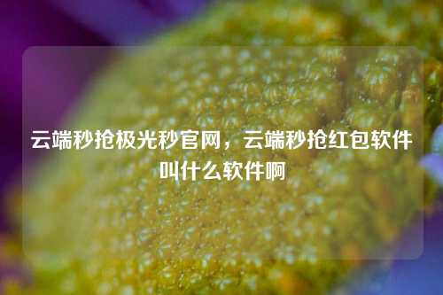 云端秒抢极光秒官网，云端秒抢红包软件叫什么软件啊