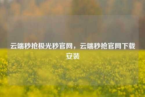 云端秒抢极光秒官网，云端秒抢官网下载安装