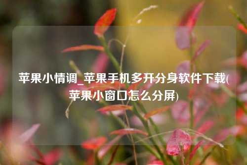 苹果小情调_苹果手机多开分身软件下载(苹果小窗口怎么分屏)