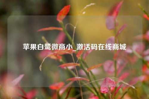 苹果白鹭微商小_激活码在线商城