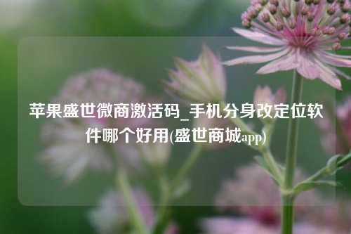 苹果盛世微商激活码_手机分身改定位软件哪个好用(盛世商城app)