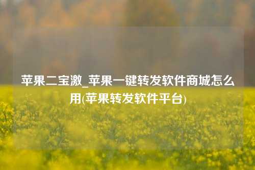 苹果二宝激_苹果一键转发软件商城怎么用(苹果转发软件平台)