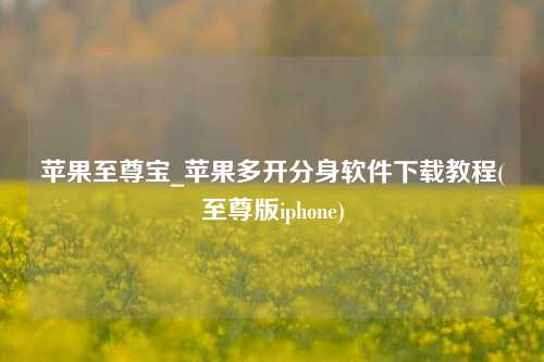 苹果至尊宝_苹果多开分身软件下载教程(至尊版iphone)