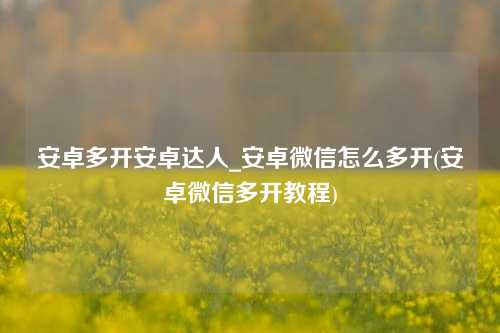 安卓多开安卓达人_安卓微信怎么多开(安卓微信多开教程)