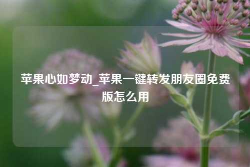 苹果心如梦动_苹果一键转发朋友圈免费版怎么用