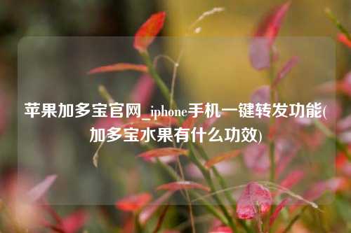 苹果加多宝官网_iphone手机一键转发功能(加多宝水果有什么功效)