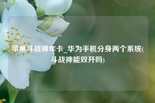 苹果斗战神年卡_华为手机分身两个系统(斗战神能双开吗)