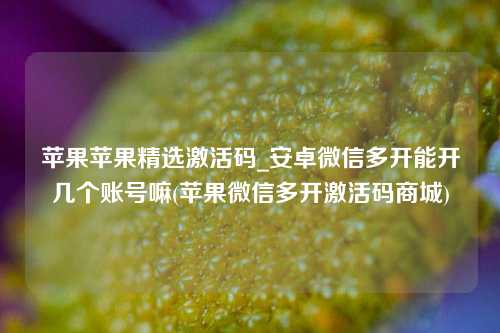 苹果苹果精选激活码_安卓微信多开能开几个账号嘛(苹果微信多开激活码商城)