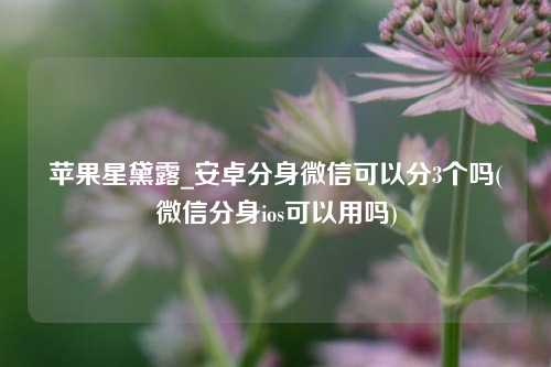 苹果星黛露_安卓分身微信可以分3个吗(微信分身ios可以用吗)