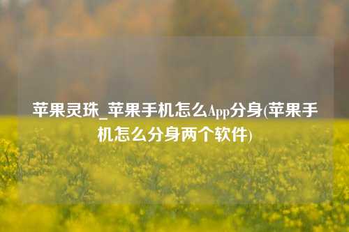 苹果灵珠_苹果手机怎么App分身(苹果手机怎么分身两个软件)