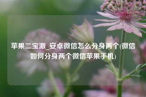 苹果二宝激_安卓微信怎么分身两个(微信如何分身两个微信苹果手机)