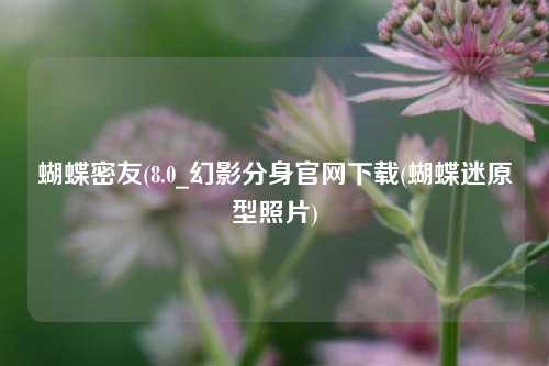 蝴蝶密友(8.0_幻影分身官网下载(蝴蝶迷原型照片)