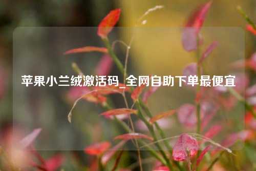 苹果小兰绒激活码_全网自助下单最便宜