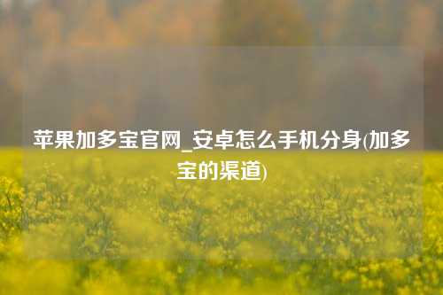 苹果加多宝官网_安卓怎么手机分身(加多宝的渠道)