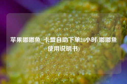 苹果嘟嘟鱼_卡盟自助下单24小时(嘟嘟鱼使用说明书)