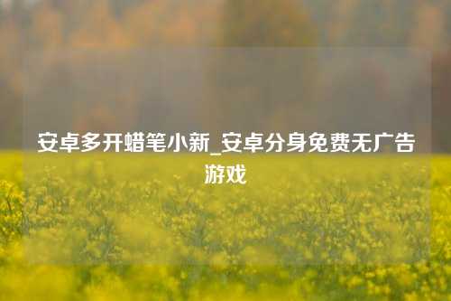 安卓多开蜡笔小新_安卓分身免费无广告游戏