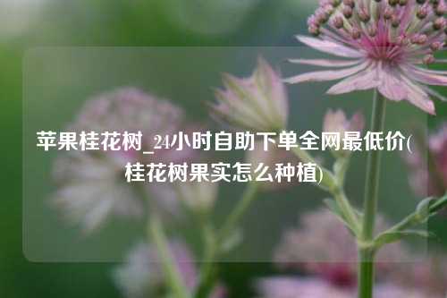 苹果桂花树_24小时自助下单全网最低价(桂花树果实怎么种植)