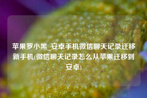 苹果罗小黑_安卓手机微信聊天记录迁移新手机(微信聊天记录怎么从苹果迁移到安卓)