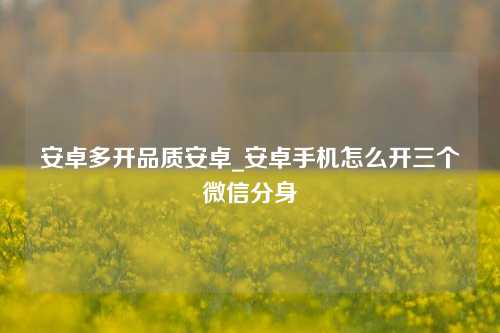 安卓多开品质安卓_安卓手机怎么开三个微信分身