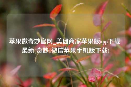 苹果微奇妙官网_美团商家苹果版app下载 最新(奇妙1微信苹果手机版下载)