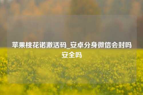 苹果桃花诺激活码_安卓分身微信会封吗安全吗