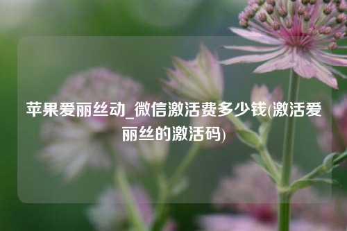 苹果爱丽丝动_微信激活费多少钱(激活爱丽丝的激活码)