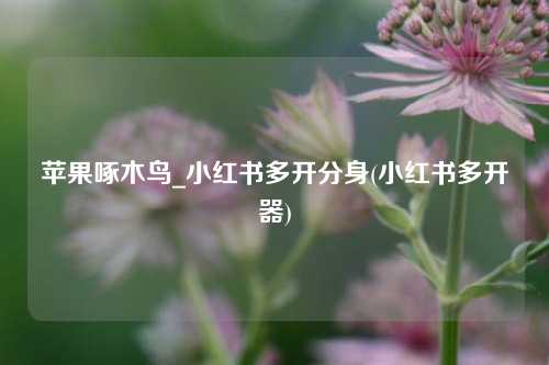 苹果啄木鸟_小红书多开分身(小红书多开器)