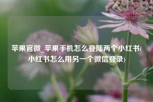 苹果官微_苹果手机怎么登陆两个小红书(小红书怎么用另一个微信登录)