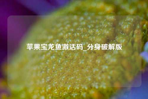 苹果宝龙鱼激活码_分身破解版