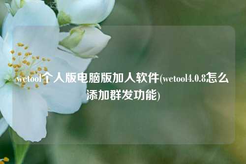 wetool个人版电脑版加人软件(wetool4.0.8怎么添加群发功能)