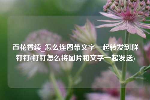 百花香续_怎么连图带文字一起转发到群钉钉(钉钉怎么将图片和文字一起发送)