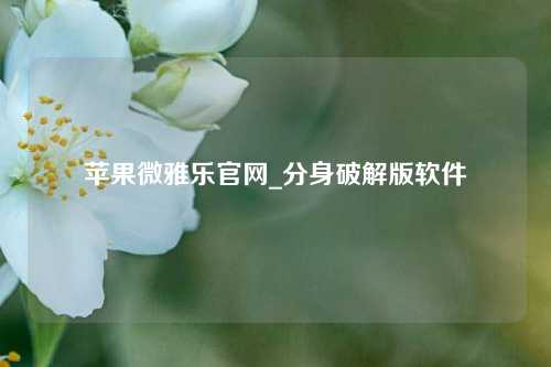 苹果微雅乐官网_分身破解版软件