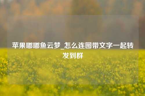 苹果嘟嘟鱼云梦_怎么连图带文字一起转发到群