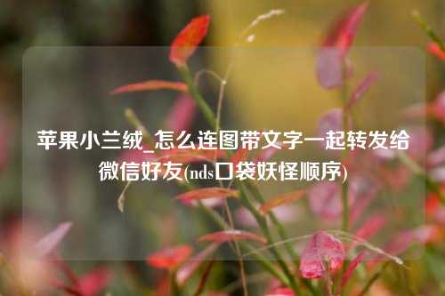 苹果小兰绒_怎么连图带文字一起转发给微信好友(nds口袋妖怪顺序)