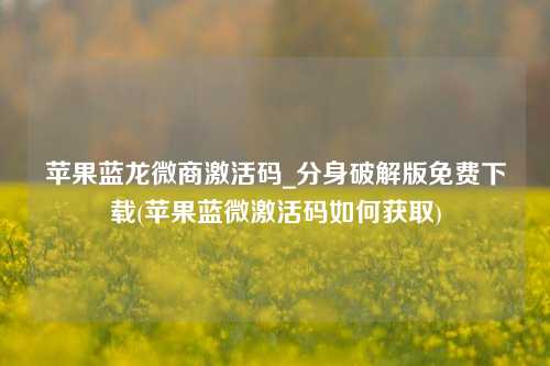 苹果蓝龙微商激活码_分身破解版免费下载(苹果蓝微激活码如何获取)