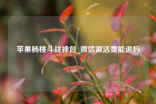 苹果杨桃斗战神包_微信激活费能退吗