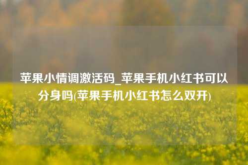 苹果小情调激活码_苹果手机小红书可以分身吗(苹果手机小红书怎么双开)