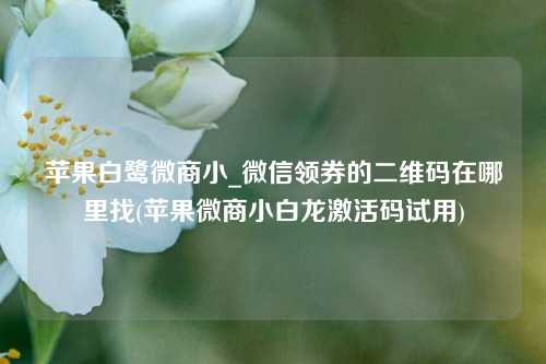 苹果白鹭微商小_微信领券的二维码在哪里找(苹果微商小白龙激活码试用)