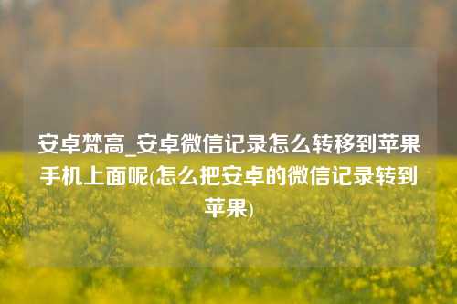 安卓梵高_安卓微信记录怎么转移到苹果手机上面呢(怎么把安卓的微信记录转到苹果)