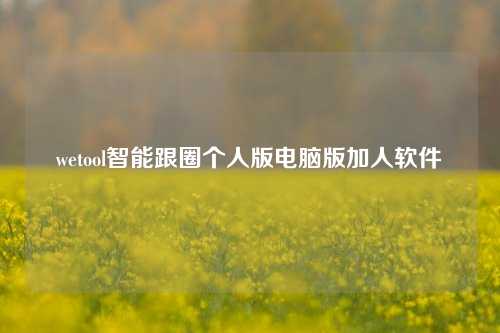 wetool智能跟圈个人版电脑版加人软件