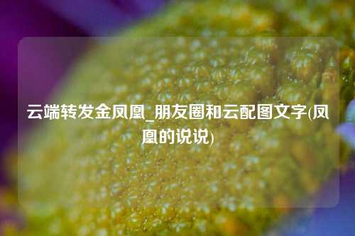 云端转发金凤凰_朋友圈和云配图文字(凤凰的说说)