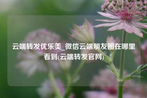 云端转发优乐美_微信云端朋友圈在哪里看到(云端转发官网)