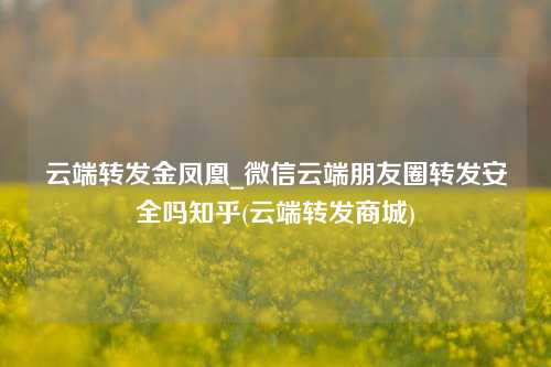 云端转发金凤凰_微信云端朋友圈转发安全吗知乎(云端转发商城)