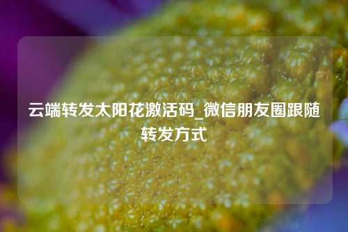 云端转发太阳花激活码_微信朋友圈跟随转发方式