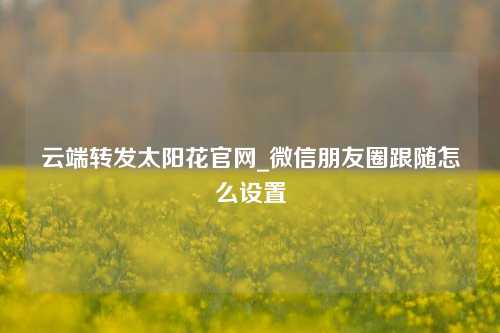 云端转发太阳花官网_微信朋友圈跟随怎么设置