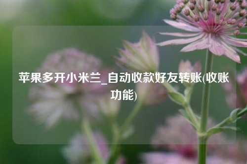 苹果多开小米兰_自动收款好友转账(收账功能)