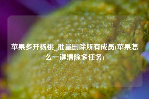 苹果多开杨桃_批量删除所有成员(苹果怎么一键清除多任务)